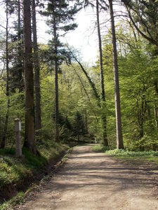 Marche populaire de Soultz(Haut-Rhin), DSCN0710