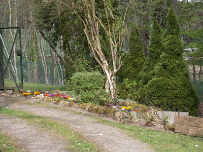 Marche populaire de Soultz(Haut-Rhin), DSCN0715