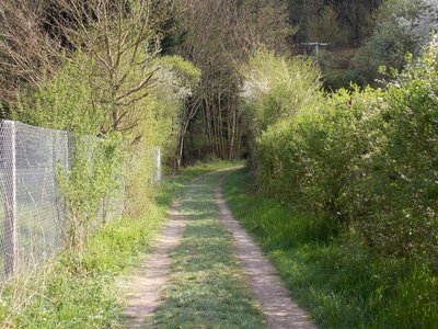 Marche populaire de Soultz(Haut-Rhin), DSCN0721