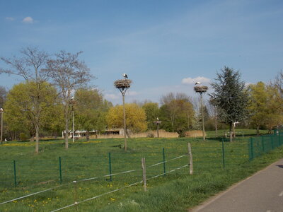 Marche populaire de Soultz(Haut-Rhin), DSCN0725