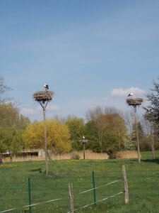 Marche populaire de Soultz(Haut-Rhin), DSCN0726