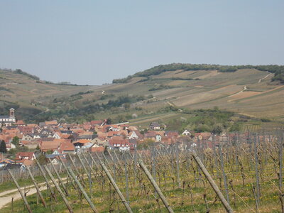 Marche populaire de Soultz(Haut-Rhin), DSCN0737