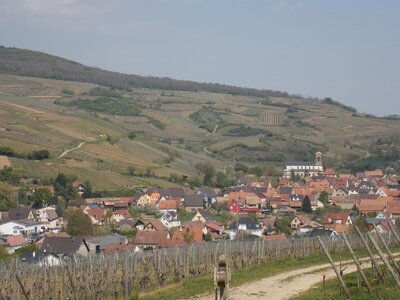 Marche populaire de Soultz(Haut-Rhin), DSCN0738