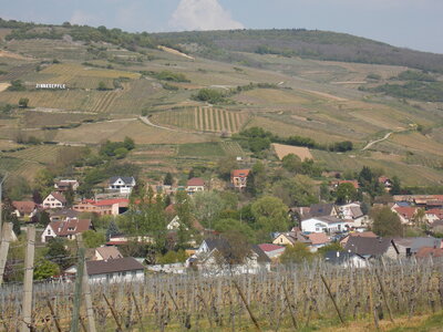 Marche populaire de Soultz(Haut-Rhin), DSCN0739