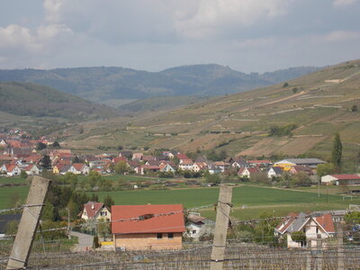 Marche populaire de Soultz(Haut-Rhin), DSCN0740