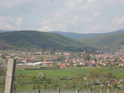 Marche populaire de Soultz(Haut-Rhin), DSCN0741
