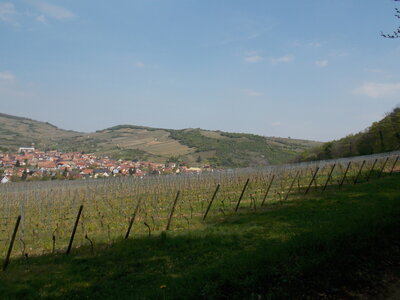 Marche populaire de Soultz(Haut-Rhin), DSCN0742