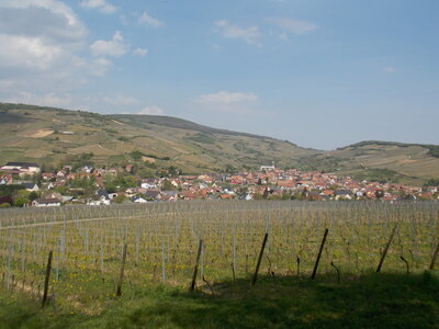 Marche populaire de Soultz(Haut-Rhin), DSCN0743