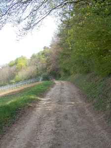 Marche populaire de Soultz(Haut-Rhin), DSCN0747