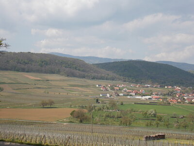 Marche populaire de Soultz(Haut-Rhin), DSCN0748