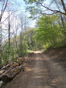 Marche populaire de Soultz(Haut-Rhin), DSCN0750