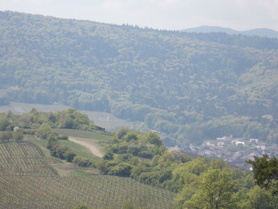 Marche populaire de Soultz(Haut-Rhin), DSCN0757
