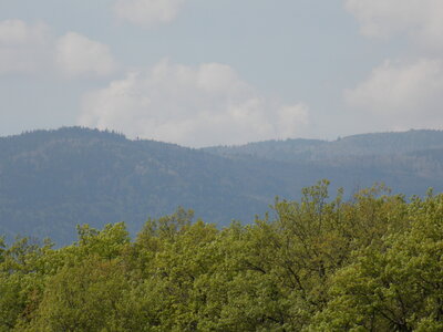 Marche populaire de Soultz(Haut-Rhin), DSCN0759