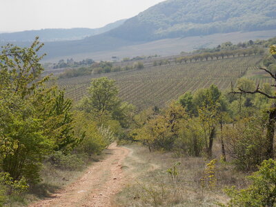 Marche populaire de Soultz(Haut-Rhin), DSCN0763