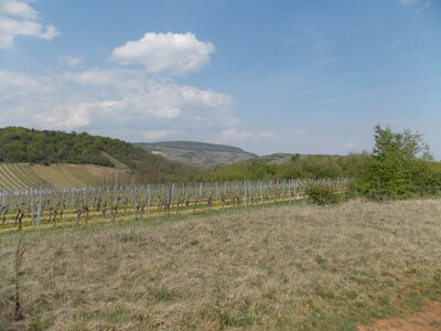 Marche populaire de Soultz(Haut-Rhin), DSCN0765