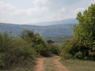 Marche populaire de Soultz(Haut-Rhin), DSCN0768
