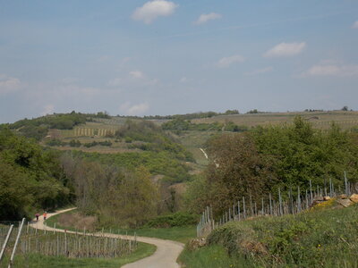 Marche populaire de Soultz(Haut-Rhin), DSCN0770