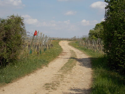 Marche populaire de Soultz(Haut-Rhin), DSCN0774