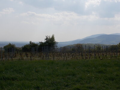 Marche populaire de Soultz(Haut-Rhin), DSCN0777