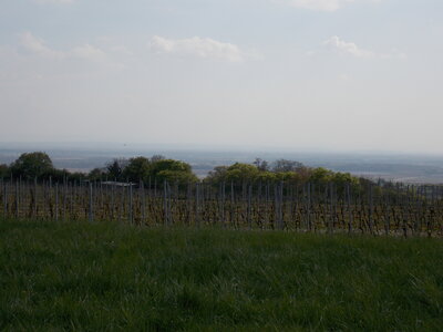 Marche populaire de Soultz(Haut-Rhin), DSCN0778