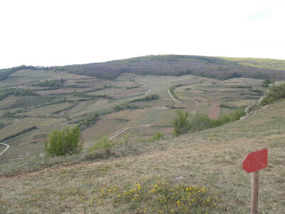 Marche populaire de Soultz(Haut-Rhin), DSCN0779