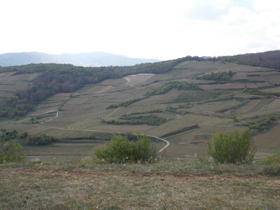 Marche populaire de Soultz(Haut-Rhin), DSCN0780