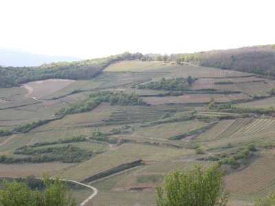 Marche populaire de Soultz(Haut-Rhin), DSCN0785