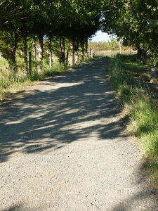 Compostelle juillet 2014, P1030081
