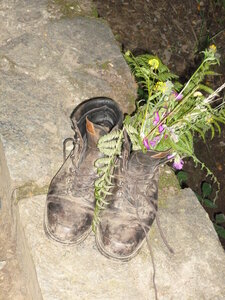 Compostelle juillet 2014, P1030154