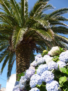 Compostelle juillet 2014, P1030215