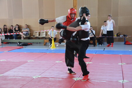2014-06 - Tournoi des Dragons - Interclub Juin, DSC_0027