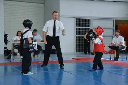 2014-06 - Tournoi des Dragons - Interclub Juin, DSC_0076