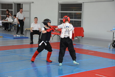 2014-06 - Tournoi des Dragons - Interclub Juin, DSC_0112