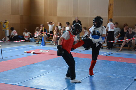 2014-06 - Tournoi des Dragons - Interclub Juin, DSC_0224