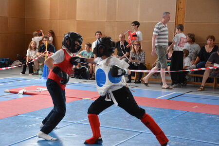 2014-06 - Tournoi des Dragons - Interclub Juin, DSC_0238