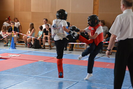 2014-06 - Tournoi des Dragons - Interclub Juin, DSC_0241