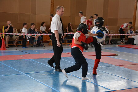 2014-06 - Tournoi des Dragons - Interclub Juin, DSC_0260