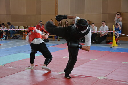2014-06 - Tournoi des Dragons - Interclub Juin, DSC_0278