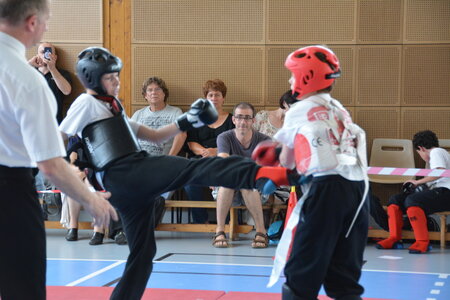 2014-06 - Tournoi des Dragons - Interclub Juin, DSC_0337