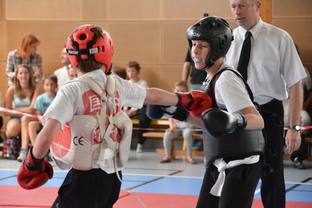 2014-06 - Tournoi des Dragons - Interclub Juin, DSC_0368
