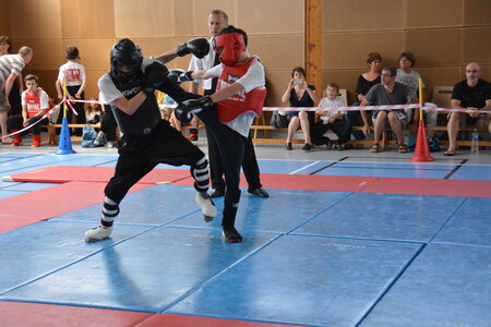 2014-06 - Tournoi des Dragons - Interclub Juin, DSC_0560