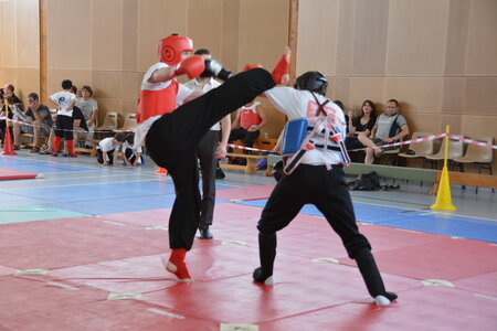 2014-06 - Tournoi des Dragons - Interclub Juin, DSC_0583