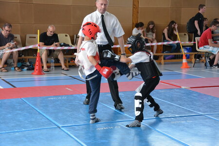 2014-06 - Tournoi des Dragons - Interclub Juin, DSC_0596