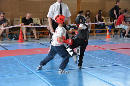 2014-06 - Tournoi des Dragons - Interclub Juin, DSC_0597