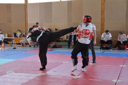 2014-06 - Tournoi des Dragons - Interclub Juin, DSC_0787