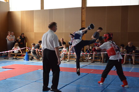 2014-06 - Tournoi des Dragons - Interclub Juin, DSC_0854