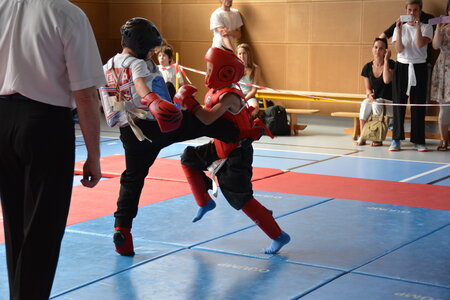 2014-06 - Tournoi des Dragons - Interclub Juin, DSC_0950