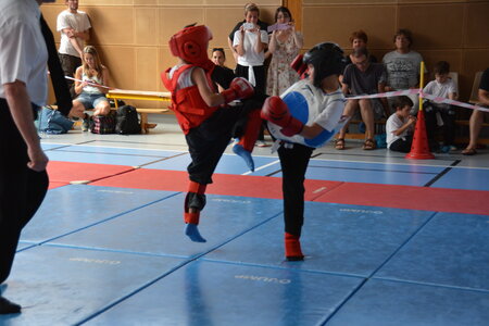 2014-06 - Tournoi des Dragons - Interclub Juin, DSC_0957