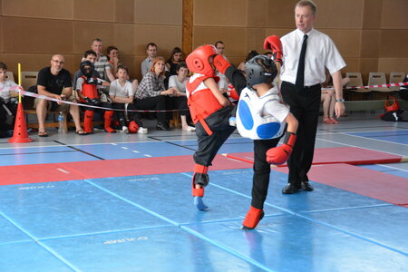 2014-06 - Tournoi des Dragons - Interclub Juin, DSC_0964