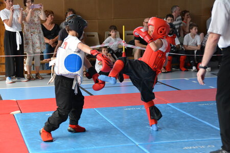 2014-06 - Tournoi des Dragons - Interclub Juin, DSC_0967